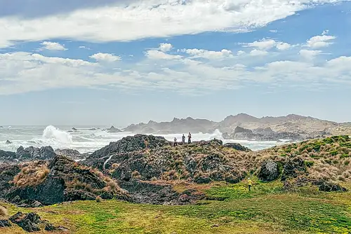 Walk Tasmania's Tarkine & Cradle Mountain