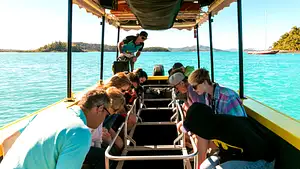 GLASS BOTTOM BOAT TOUR - SHUTE HARBOUR
