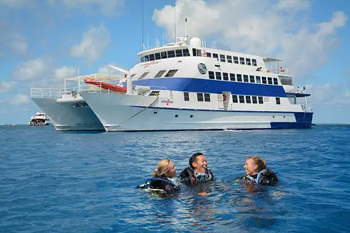 oceanquest-liveaboard-dive-vessel-cairns.jpg