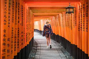 9 Day Japan Express Tour | Intrepid | Tokyo to Osaka