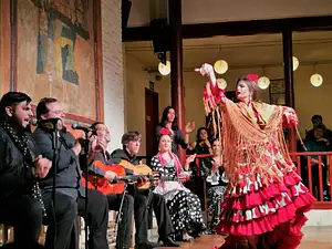 Tablao De Carmen Flamenco Show And Dinner With Entrance To Poble Espanyol