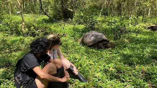 Galapagos Islands Eco Cruise Deals