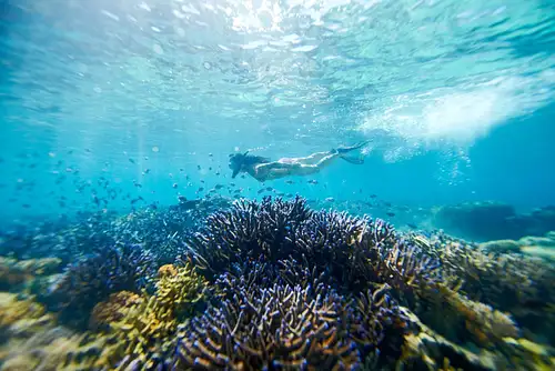 12 DAY FIJI EXPLORER - AWESOME ADVENTURES FIJI