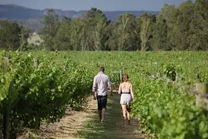 Hunter Valley Wine Tasting Helicopter Flight