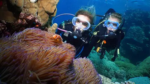 Silversonic Great Barrier Reef Intro Dive