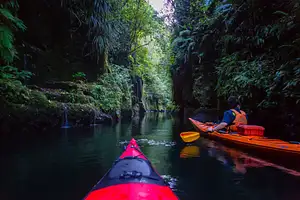 Lake McLaren Kayak Tour