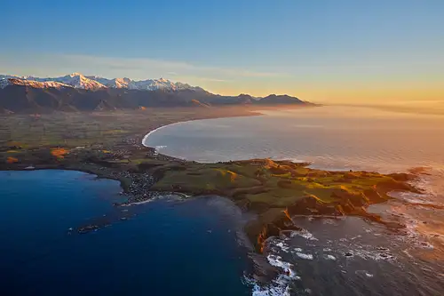 cheap whale watching new zealand