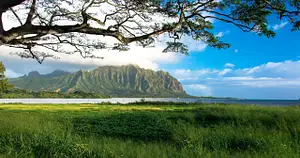 Oahu photography tours