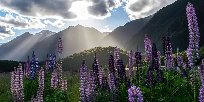 BOOK TOURS, ACTIVITIES & THINGS TO DO!